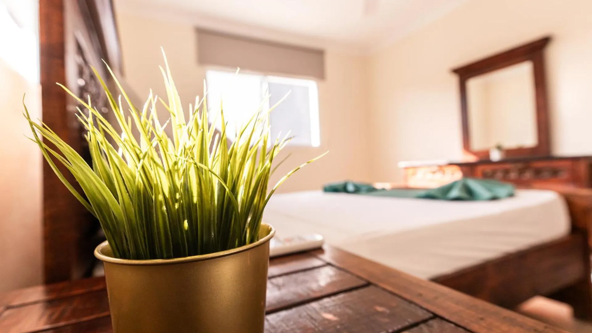 Hostal Las Rosas De Punta Cana Maison d'hôtes